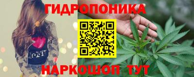 сатива Кимры